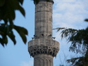 p015
