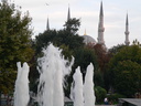 p029