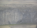 p321