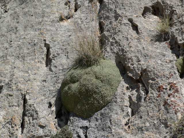 p089