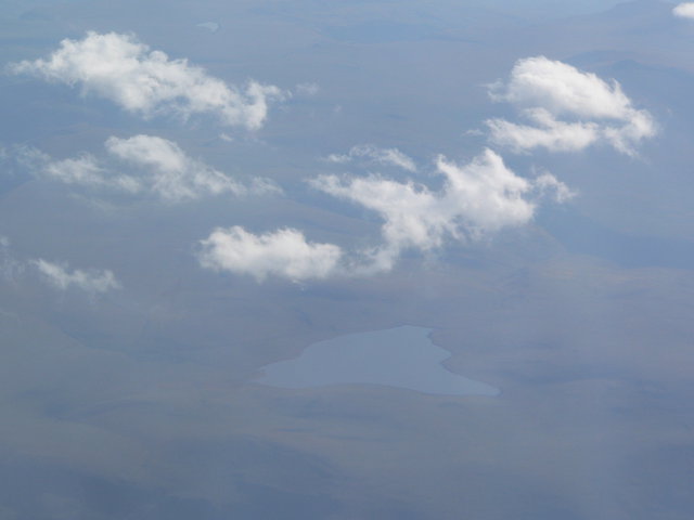 p333