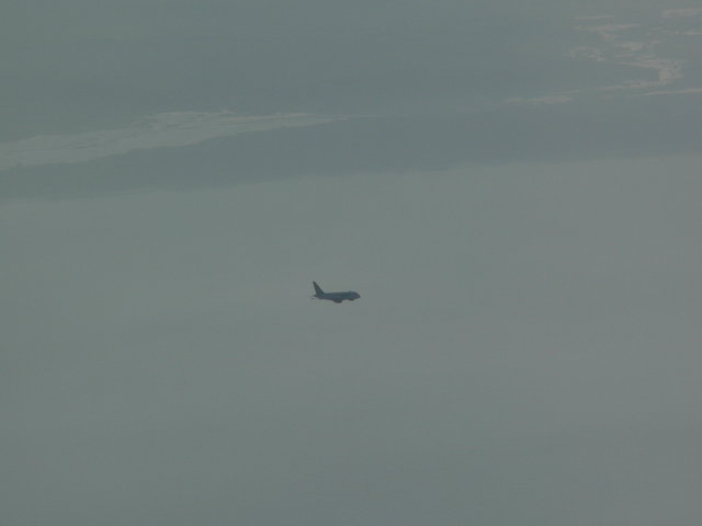 p336