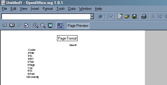 Page Format Button