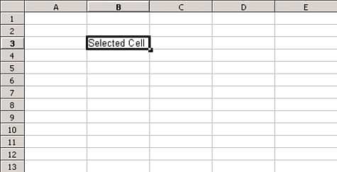 Single selected cell