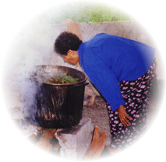 Ayahuasca-prep-26aa.jpg (19282 bytes)