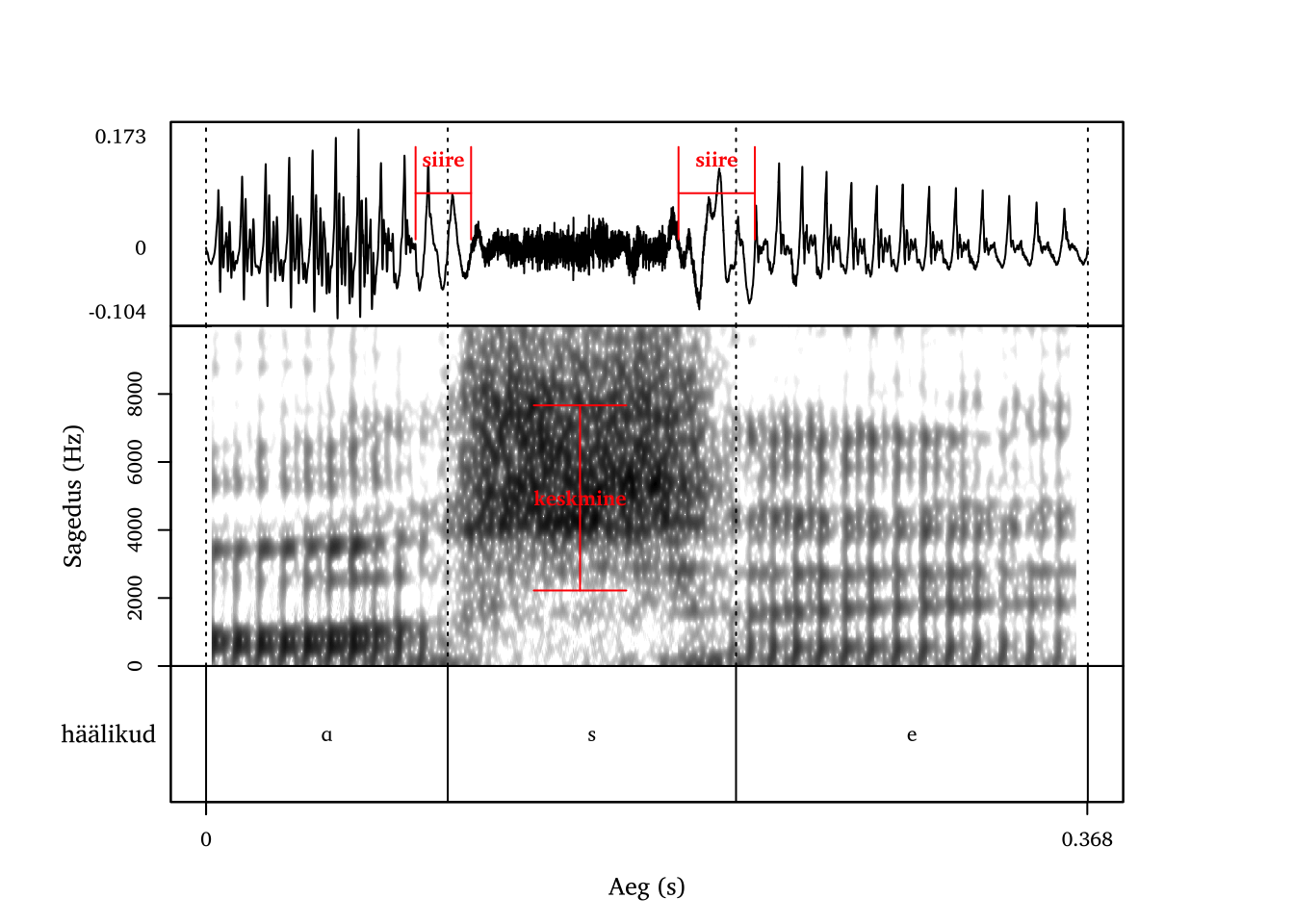 Helitu alveolaarne frikatiiv /s/ sõnas ase.