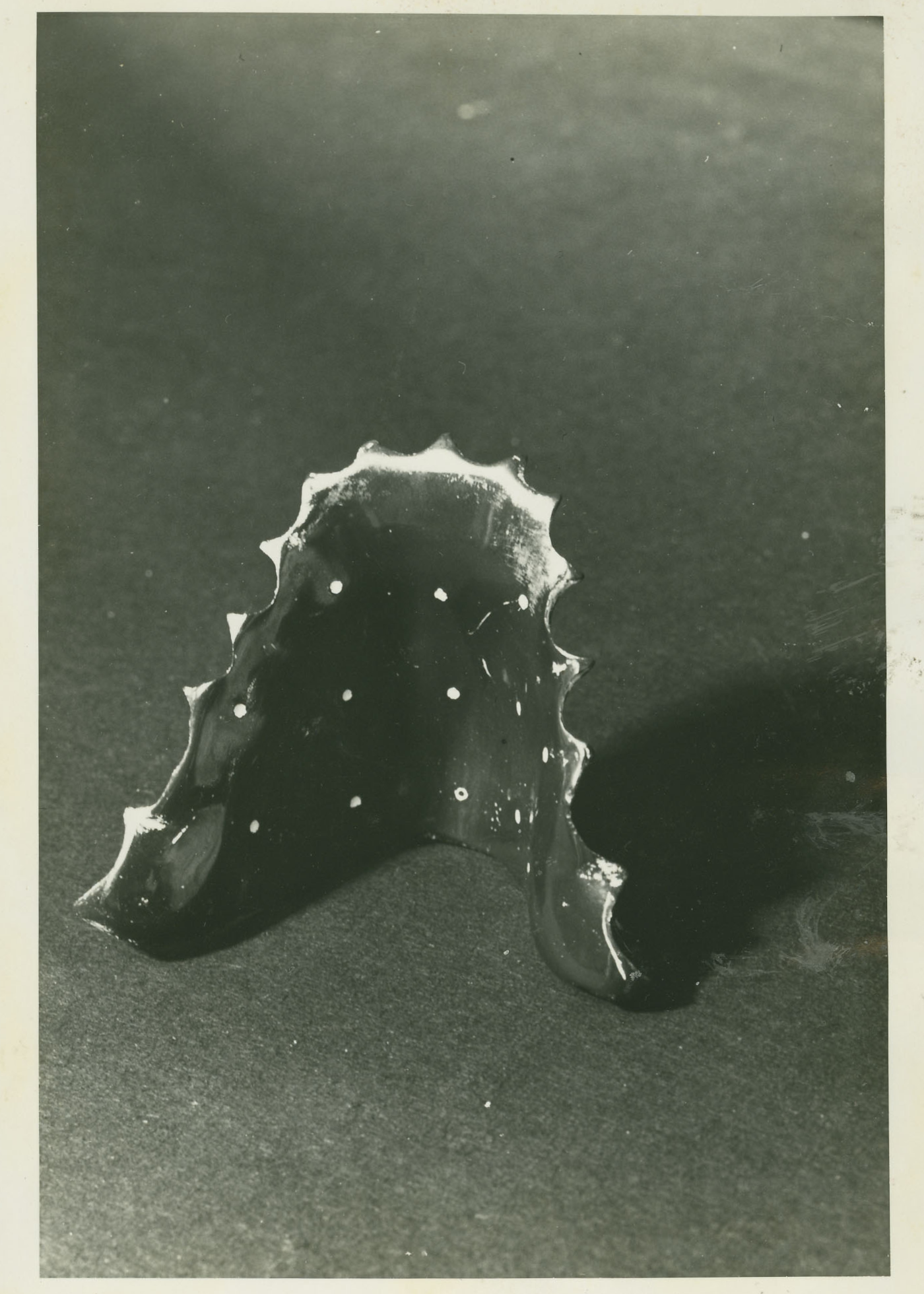 Staatiline palatograafia kunstsuulae ja magneesiumipulbriga. Fotod L. Kutseri seminaritööst. TÜ EMSA S01274.
