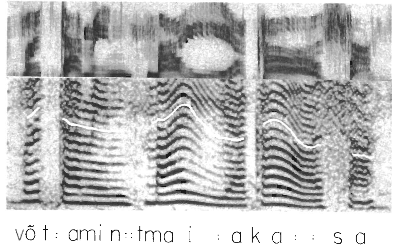 Spektrogrammid Ilse Lehiste 1960. aastal ilmunud eesti keele välteuurimusest [@lehiste1960]. Ülemine kolmandik joonisest on lairiba ja alumine kaks kolmandikku kitsaribaline spektrogramm.
