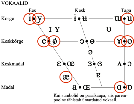 IPA vokaalidiagramm (vasakul) ja artikulograafiga salvestatud eesti vokaalide moodustuskohad (paremal).