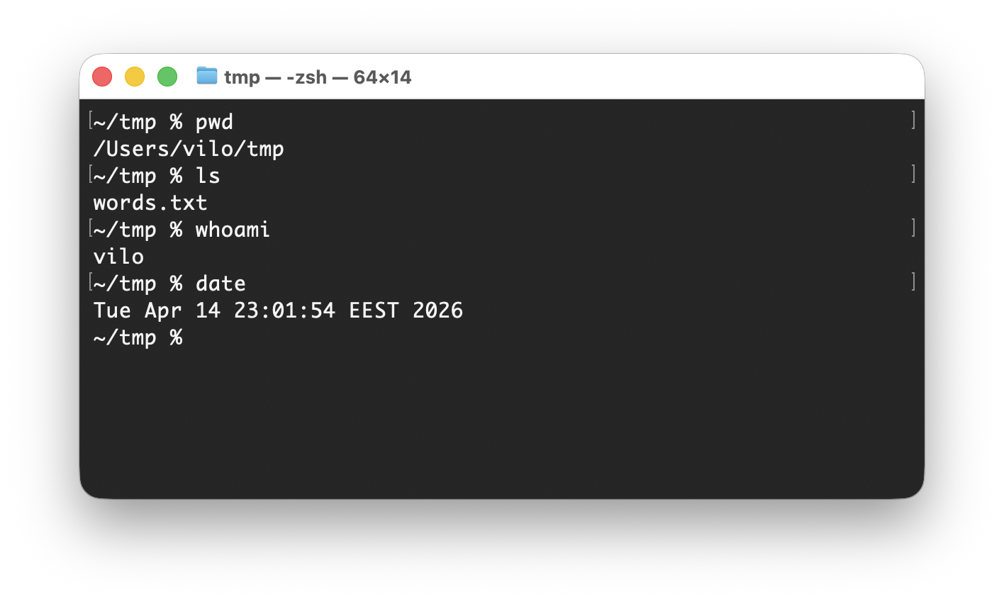 Terminali näide, kus kasutatakse ainult infot andvaid käske `pwd`, `ls`, `whoami` ja `date`, et vaadata rahulikult olukorda enne esimese muudatuse tegemist.